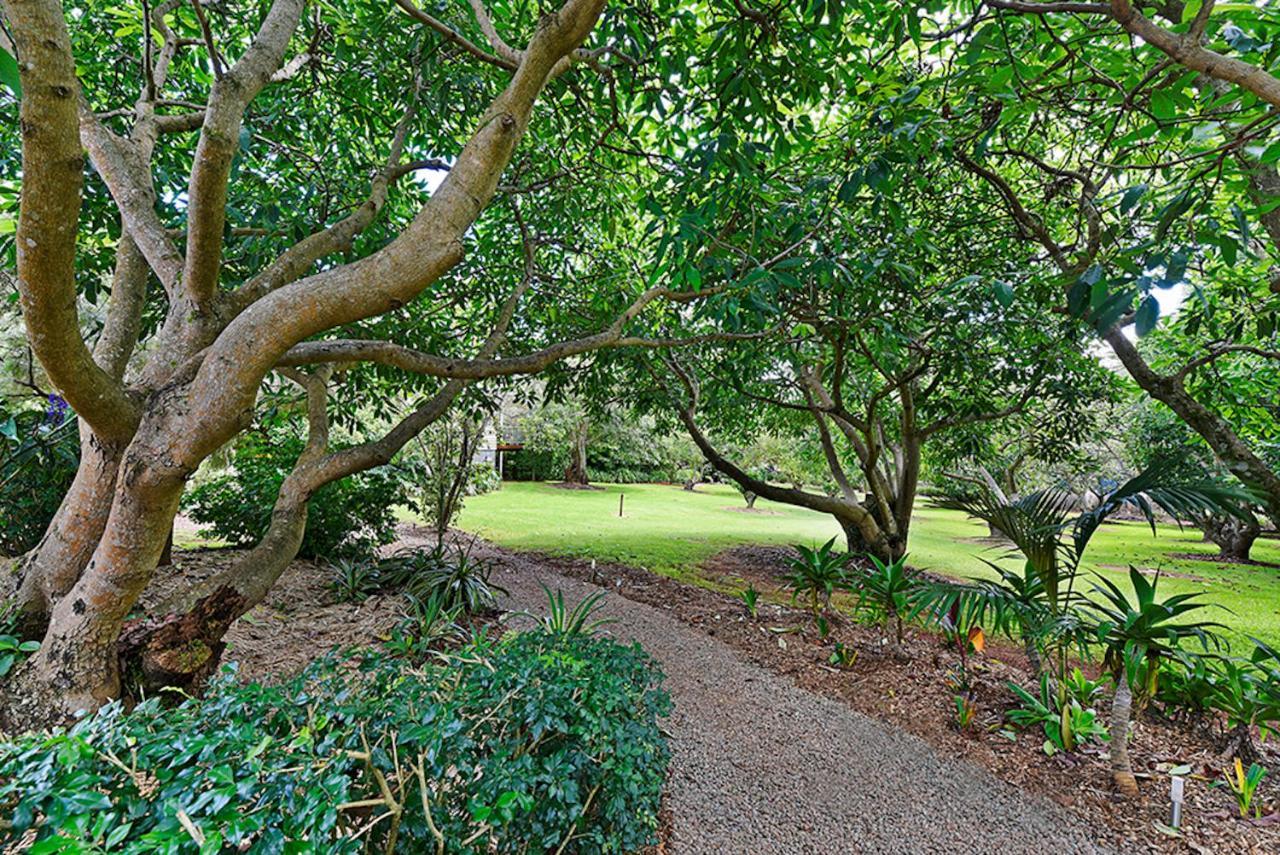 Camelot Boutique Accommodation Mount Tamborine Extérieur photo
