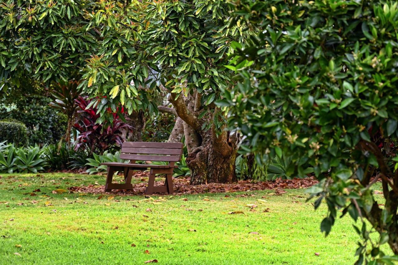 Camelot Boutique Accommodation Mount Tamborine Extérieur photo
