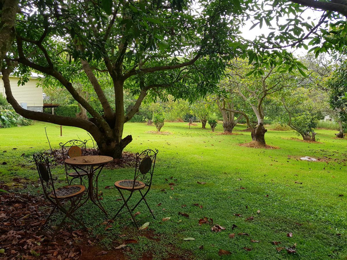 Camelot Boutique Accommodation Mount Tamborine Extérieur photo
