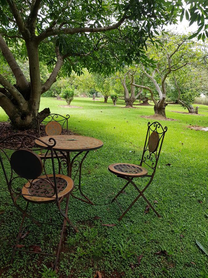 Camelot Boutique Accommodation Mount Tamborine Extérieur photo
