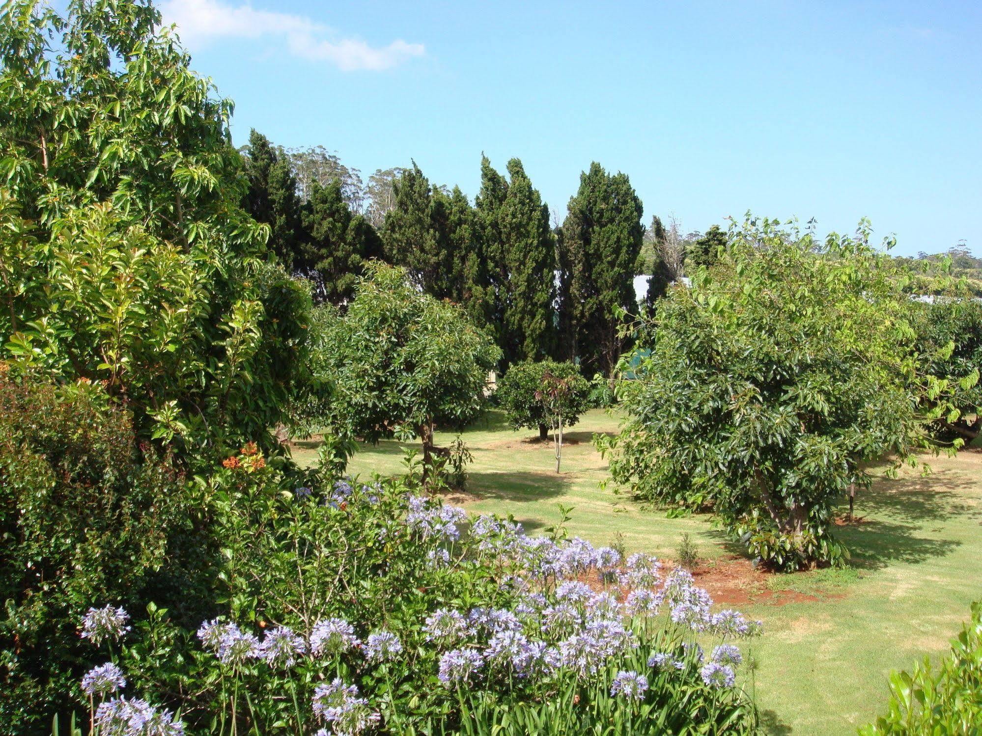 Camelot Boutique Accommodation Mount Tamborine Extérieur photo