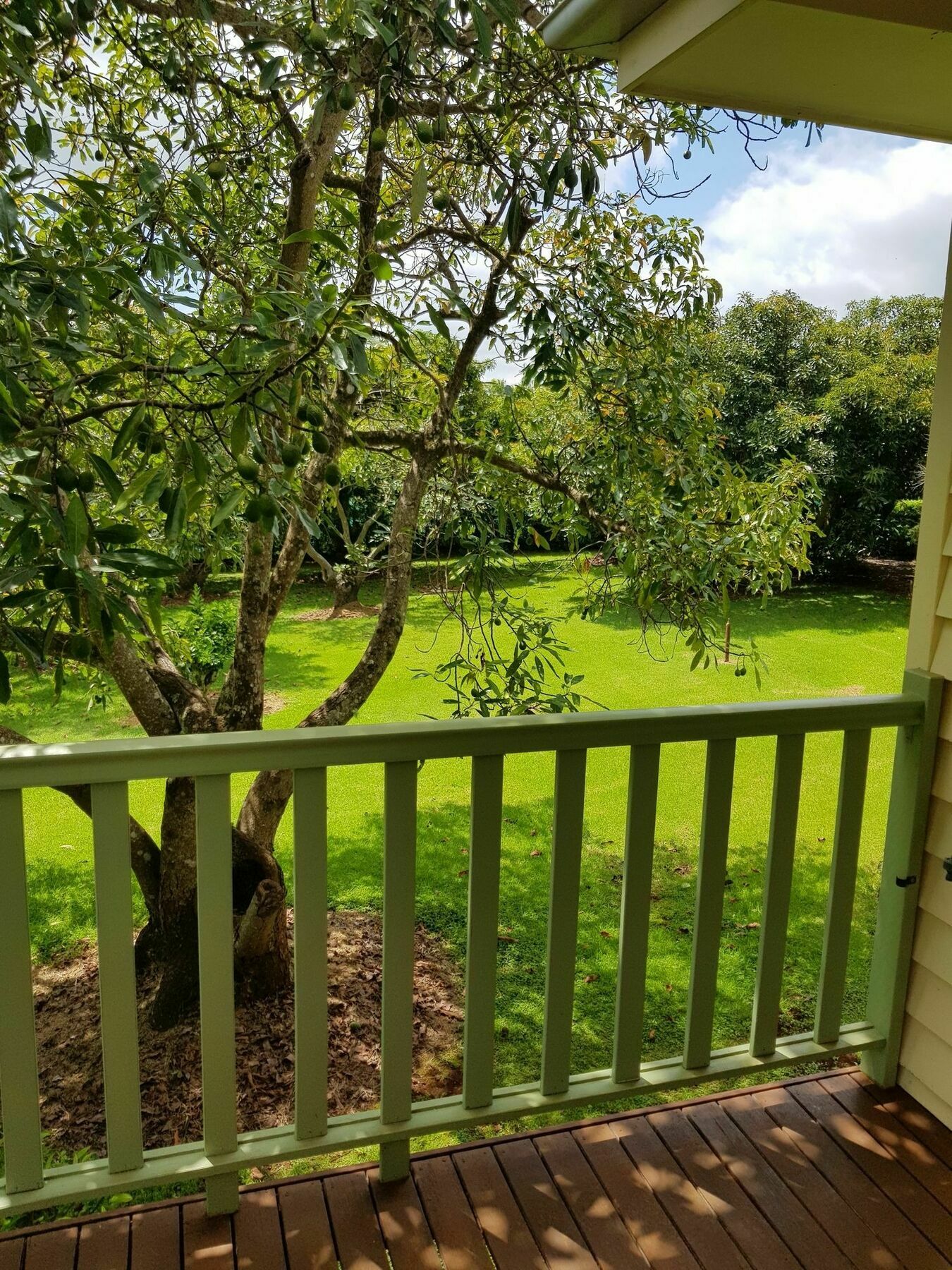 Camelot Boutique Accommodation Mount Tamborine Extérieur photo