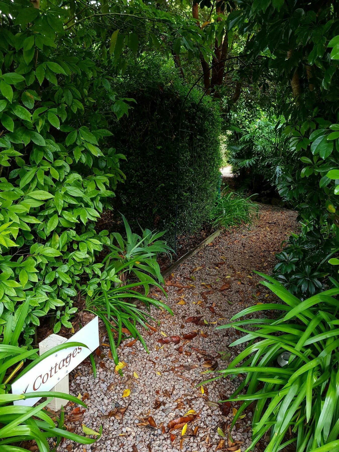 Camelot Boutique Accommodation Mount Tamborine Extérieur photo