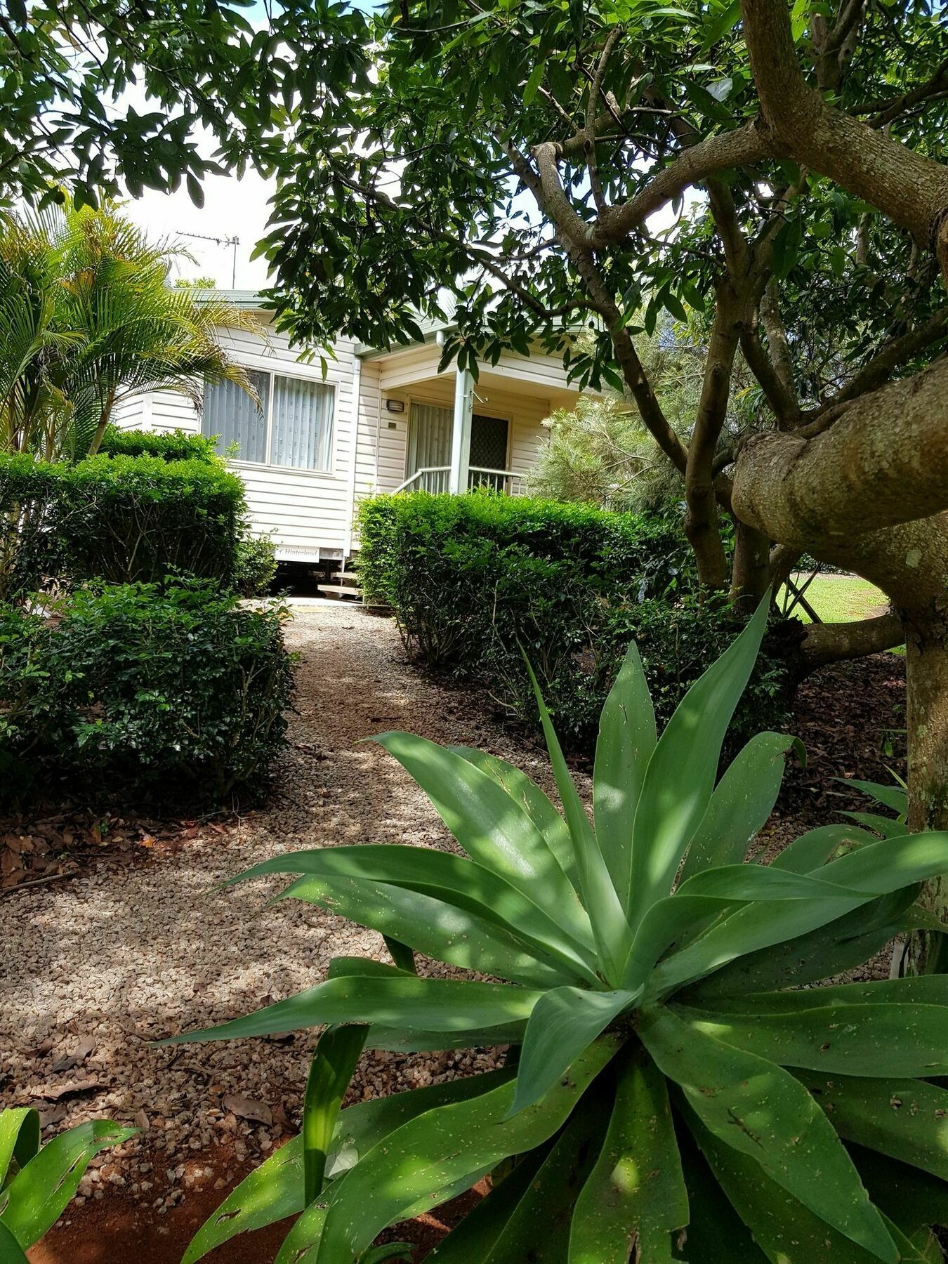Camelot Boutique Accommodation Mount Tamborine Extérieur photo